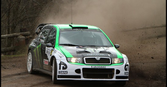 Testy Fiesta Trophy i Fabii WRC